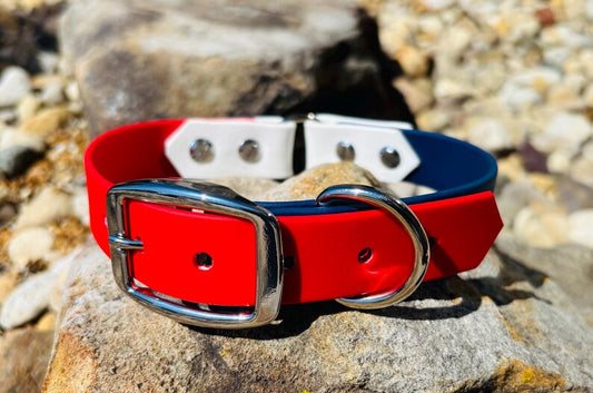 Introducing the Patriotic Puppy Waterproof Dog Leash & Collar Set