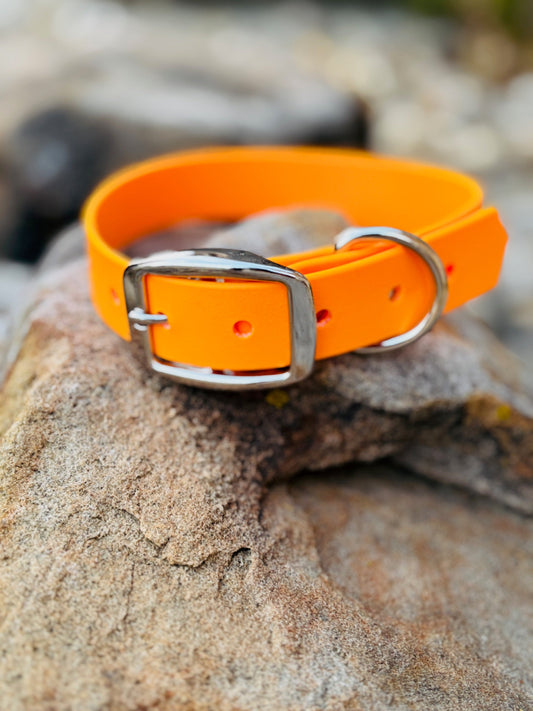 INTRODUCING TANGERINE ORANGE: THE PERFECT POP FOR YOUR NEXT WATERPROOF DOG COLLAR/LEASH