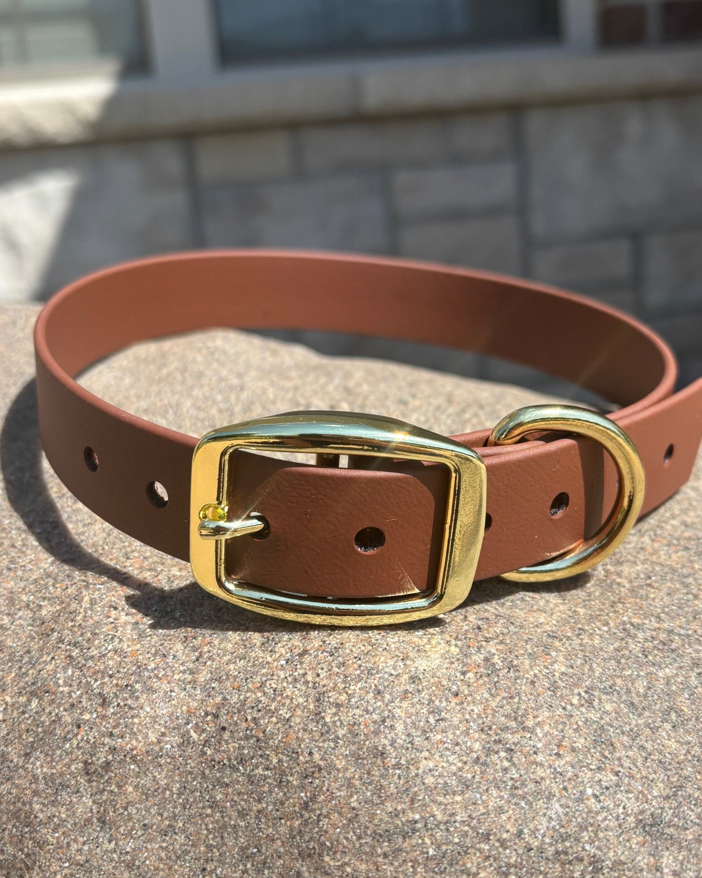 A Chocolate Brown Classic dog Collar resting on a rock. The collar has gold hardware.