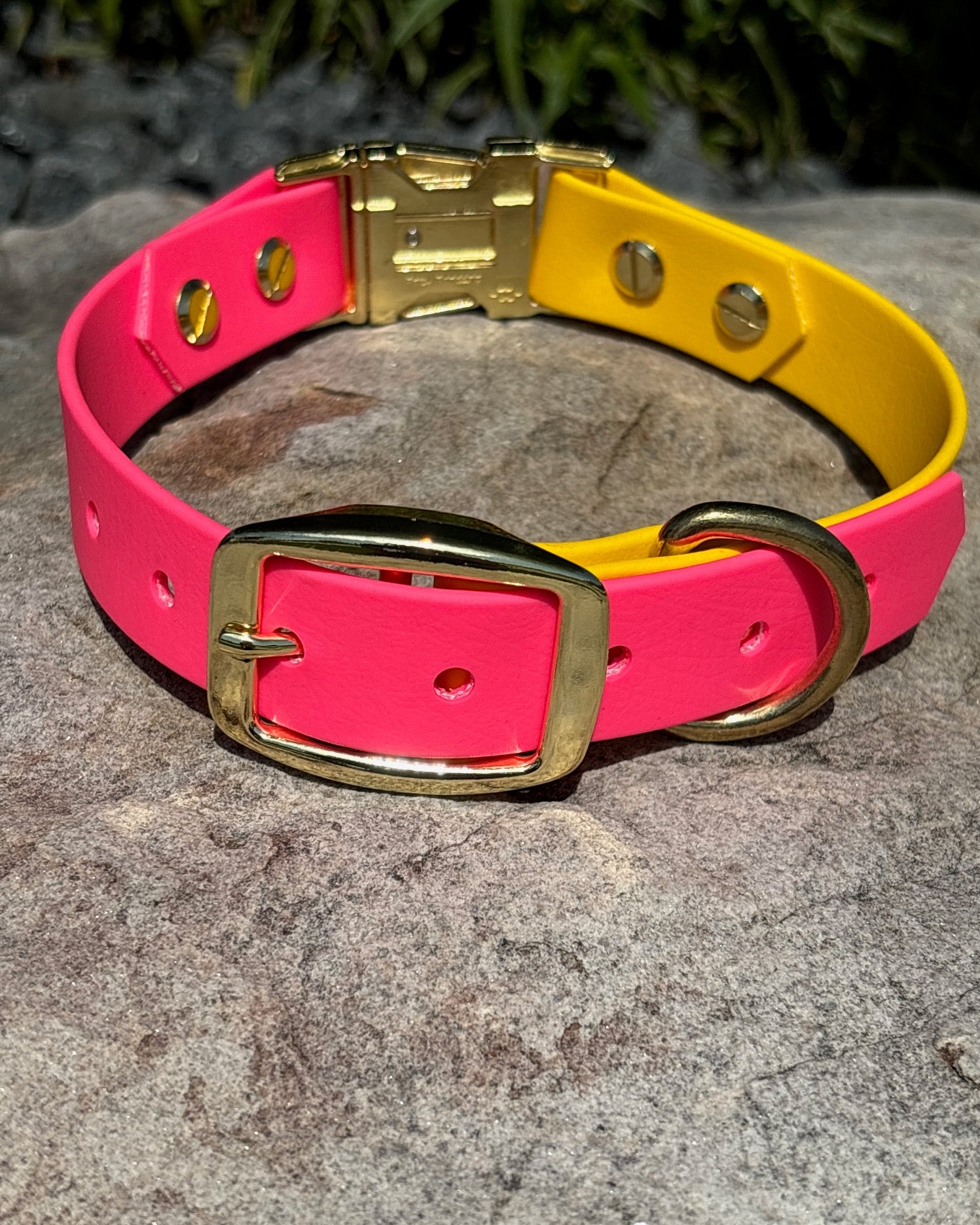 An Evergreen Dog Co Quick-Release dog collar in Hot Pink and Sunshine yellow with gold hardware sitting on a rock