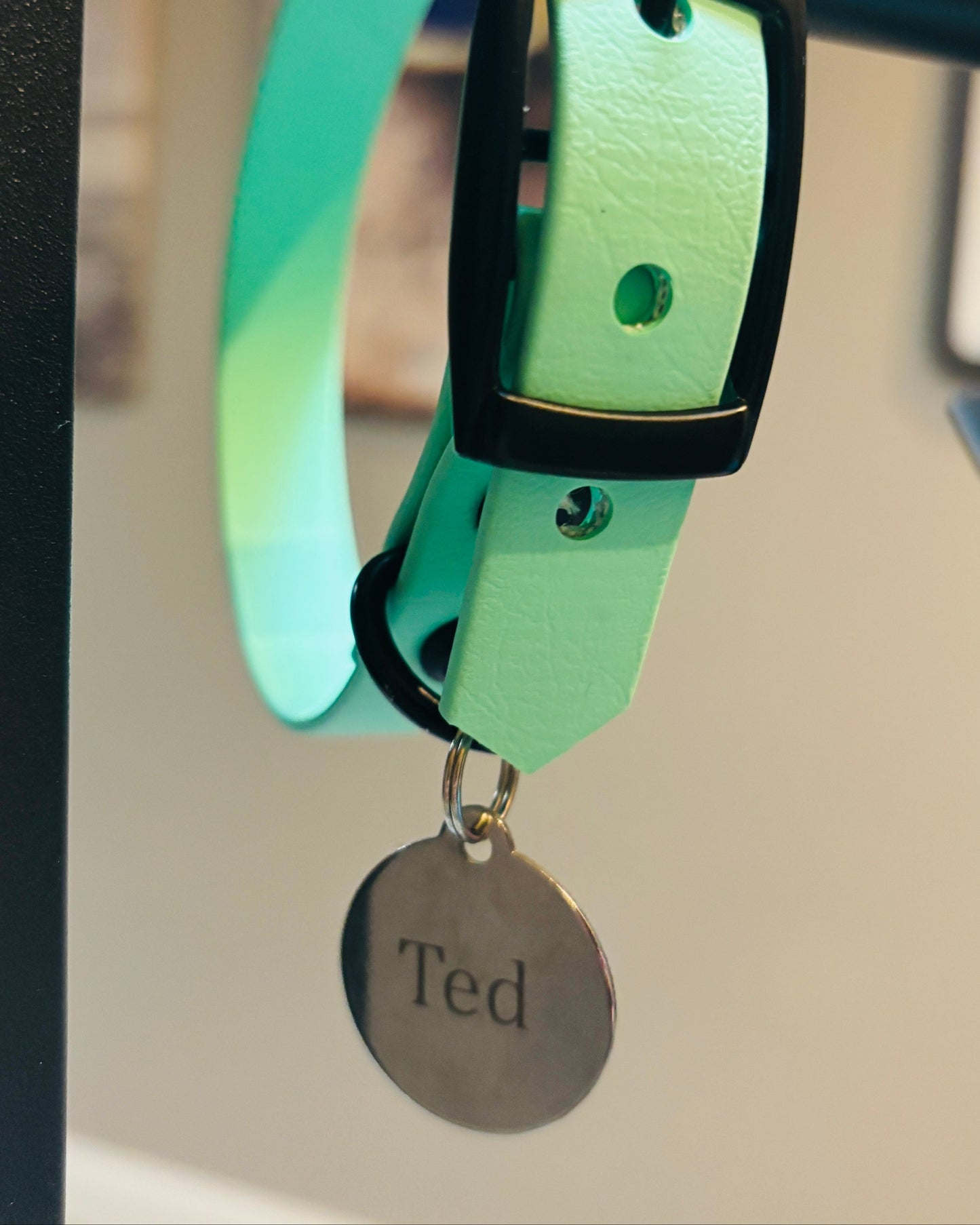 A dog tag hanging on a Seafoam dog collar that says "Ted"