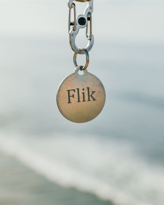 Dog tag with 'Flik' engraved on a blurred natural background