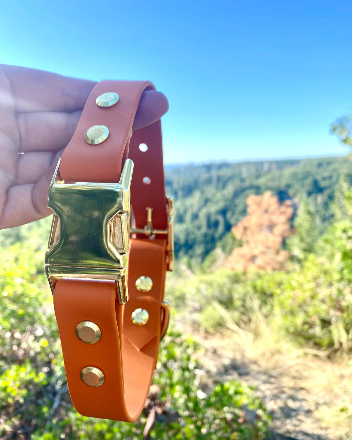 A burnt orange quick release collar being held. The background is green shrubery.