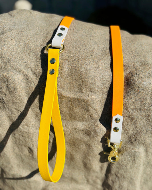 A Sunshine Yellow, Arctic White and Tangerine Orange classic dog leash with gold hardware resting on a large rock