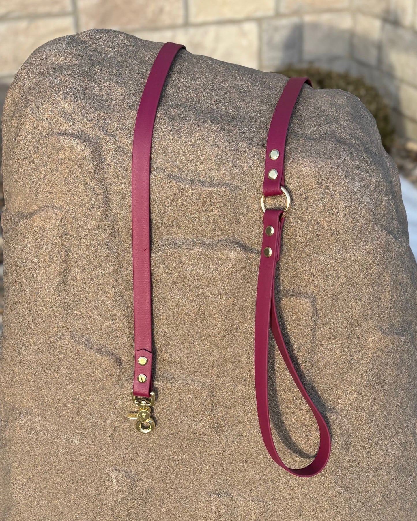 A classic leash made from BIoThane resting on a rock in front of a house with snow in the background.