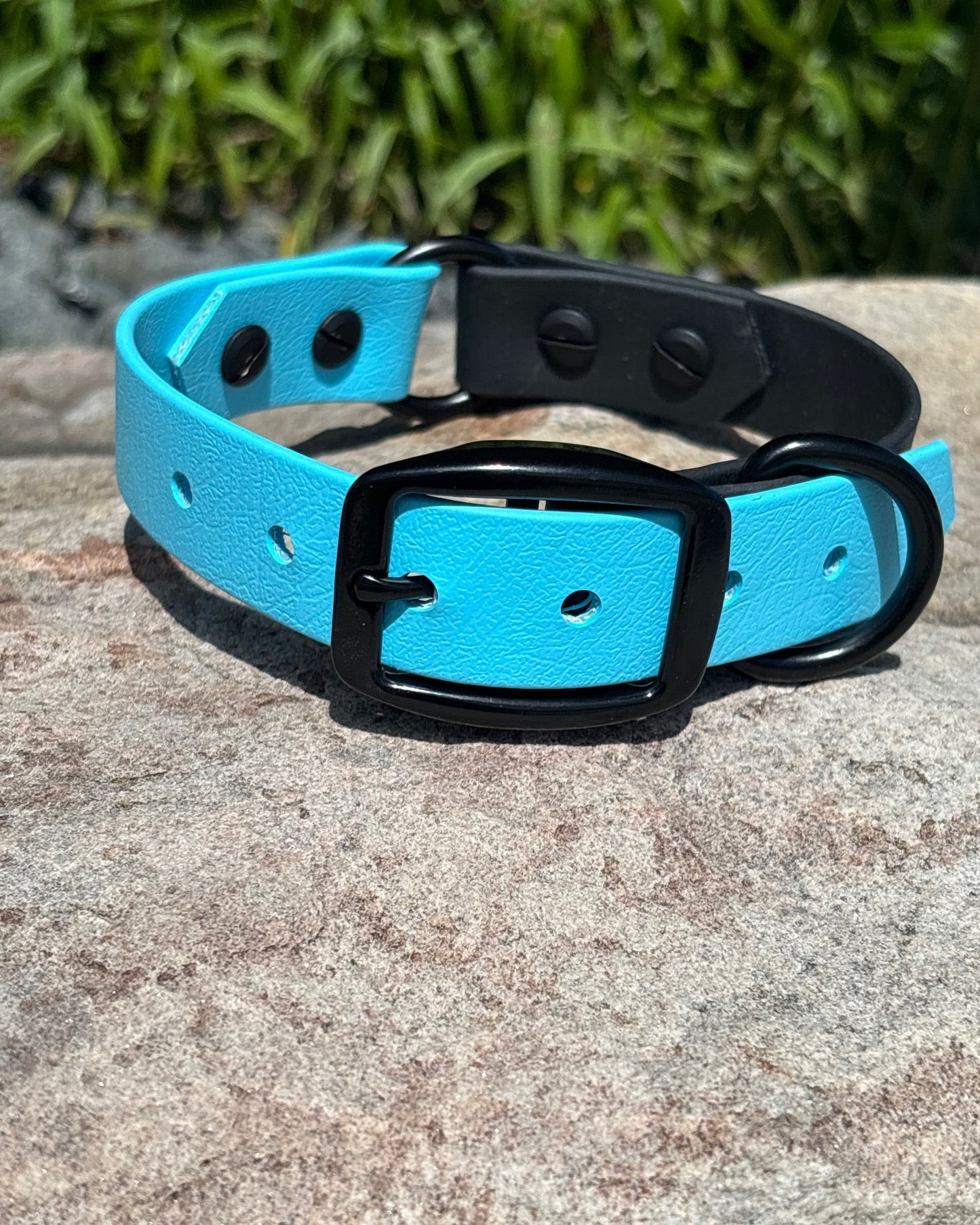 An Evergreen Dog Co Classic Two-Tone Collar with black hardware sitting on a rock