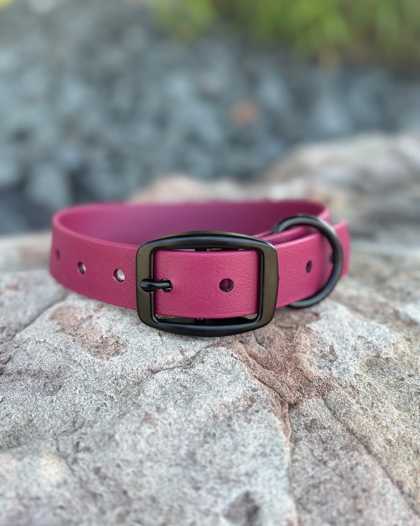 A Merlot Wine classic collar sitting on a rock with black hardware