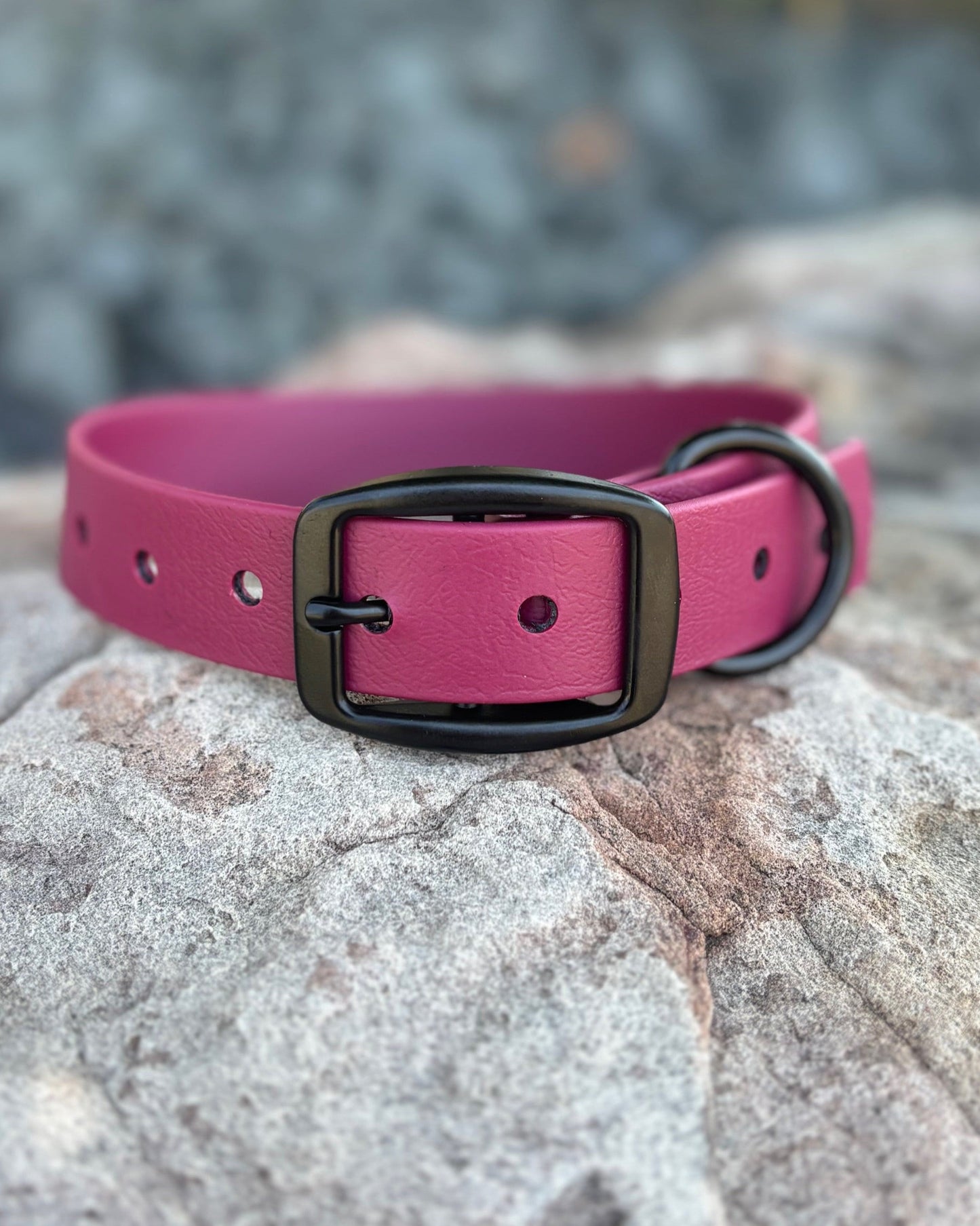 A Merlot Wine classic collar sitting on a rock with black hardware