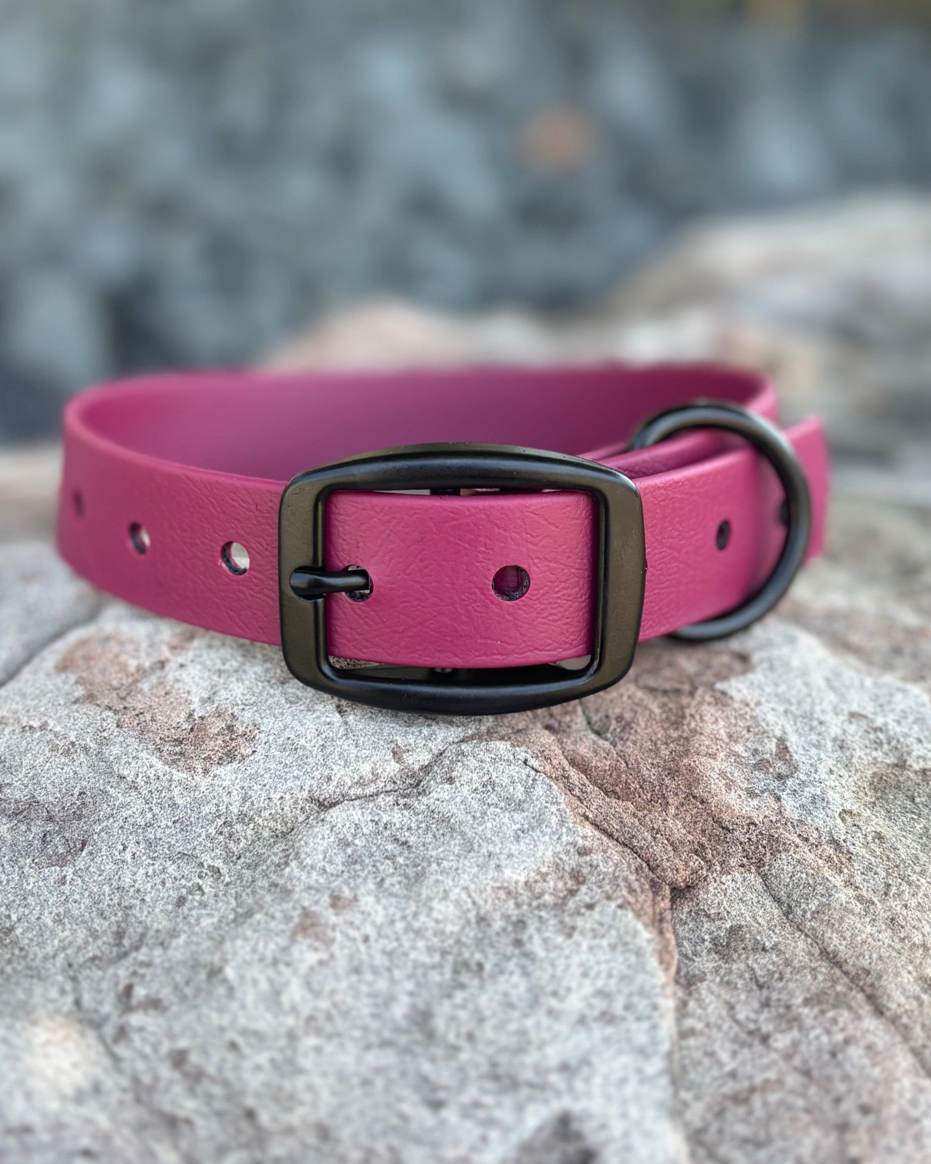A Merlot Wine classic collar sitting on a rock with black hardware