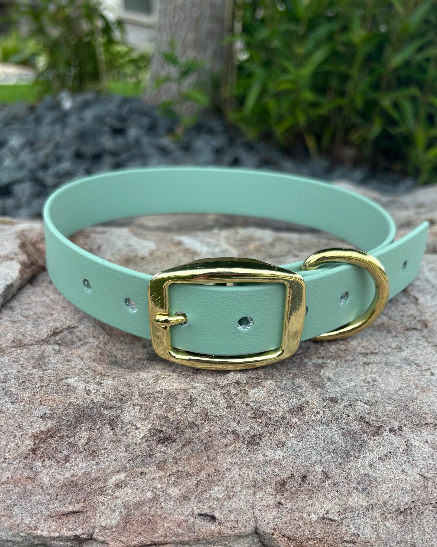 A Sage Green (with gold hardware) Classic Collar from Evergreen Dog Co sitting on a rock