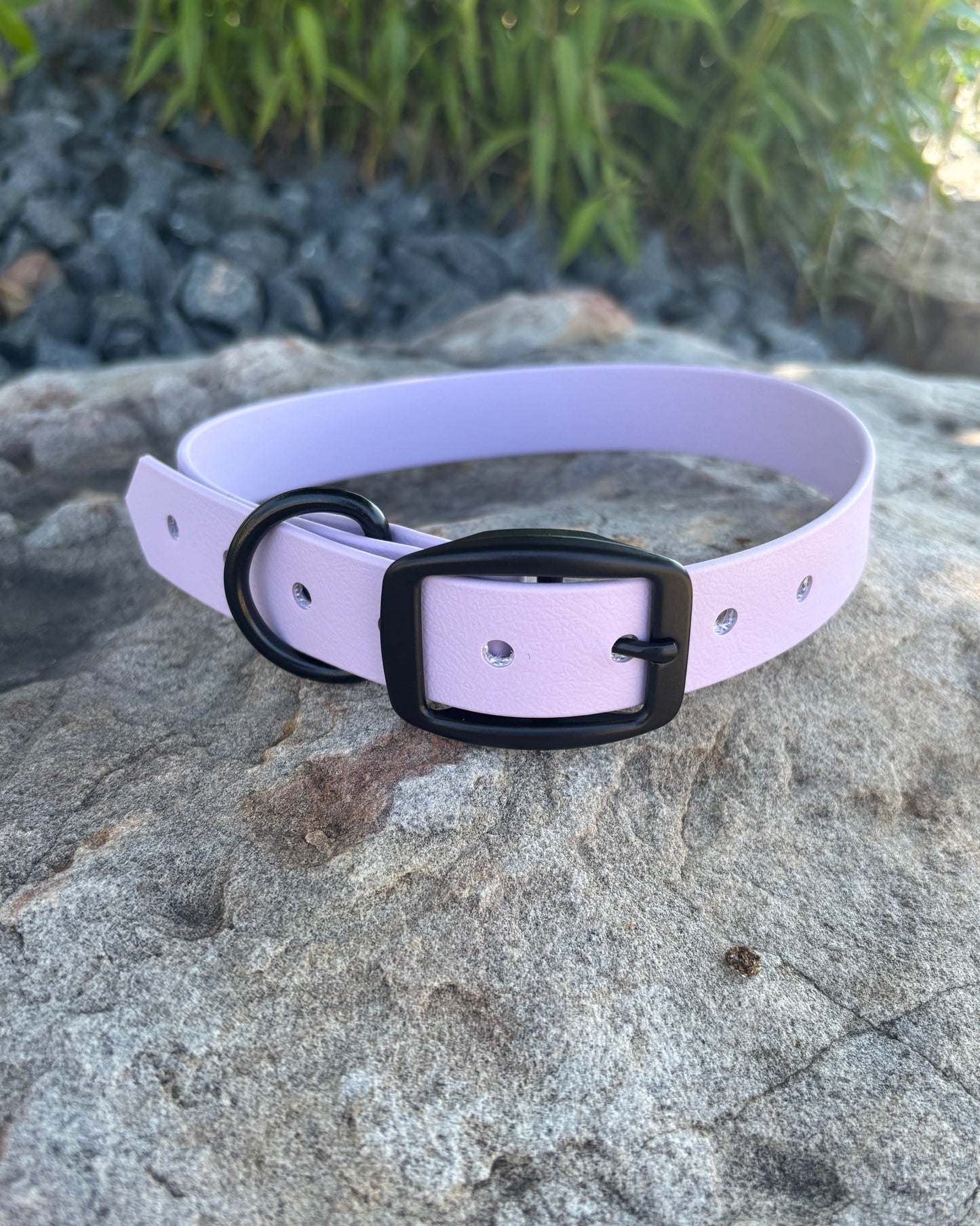 A spring lilac classic waterproof dog collar from Evergreen Dog Co sitting on a rock.