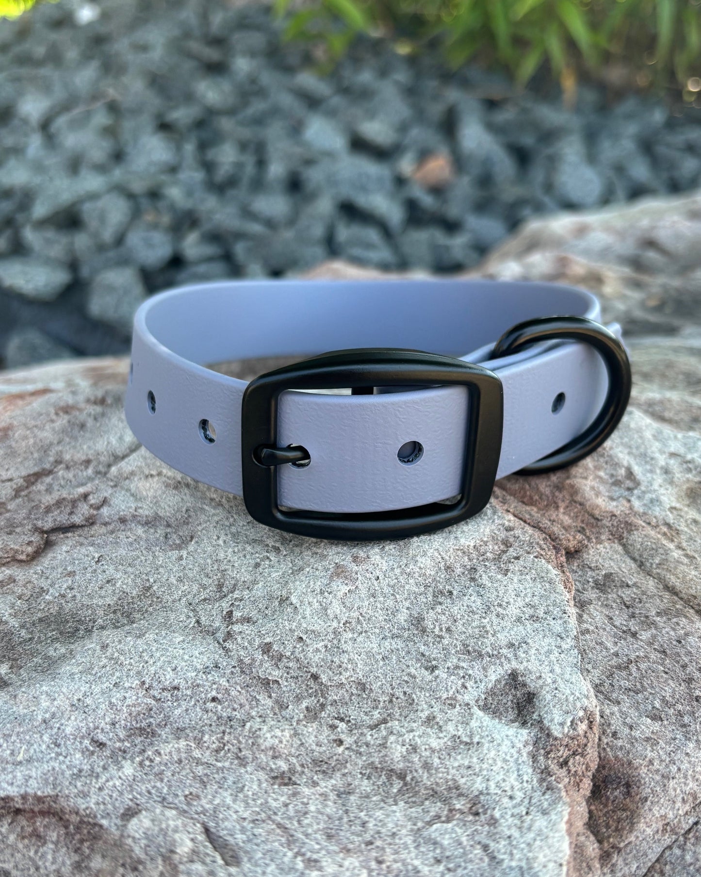 A Stormy Gray Classic Collar sitting on a rock. It has a black buckle and black D ring attached.