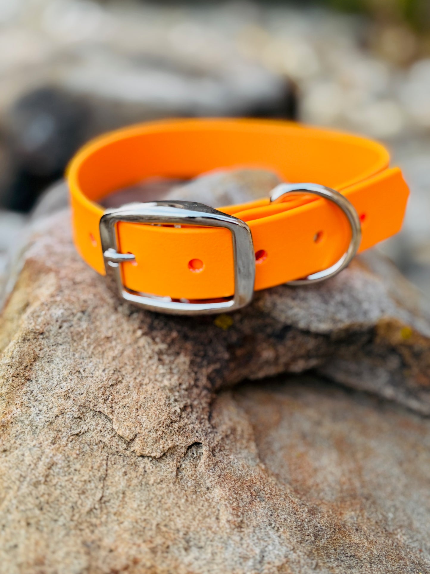 A tangerine colored dog collar sitting on top of a red/brown rock.