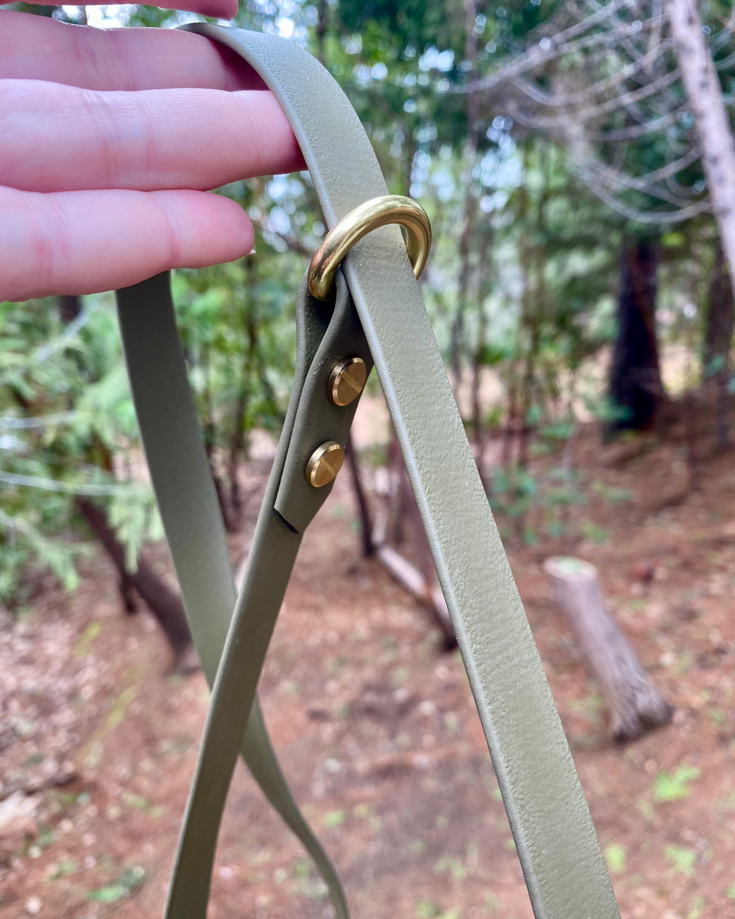 A person holding an olive slip lead in the woods. The lead has gold hardware.