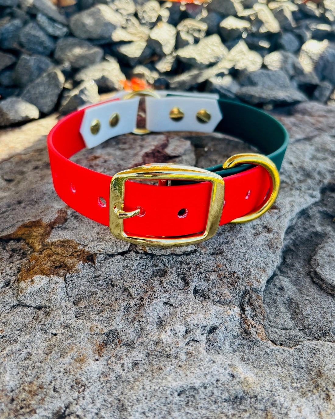 The Gift of BioThane: 5 Evergreen Dog Co Gifts Your Pup Will Love This Holiday Season