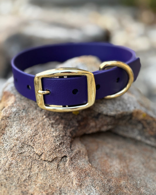 New Royal Purple BioThane® Waterproof Dog Collars & Leashes Now Available