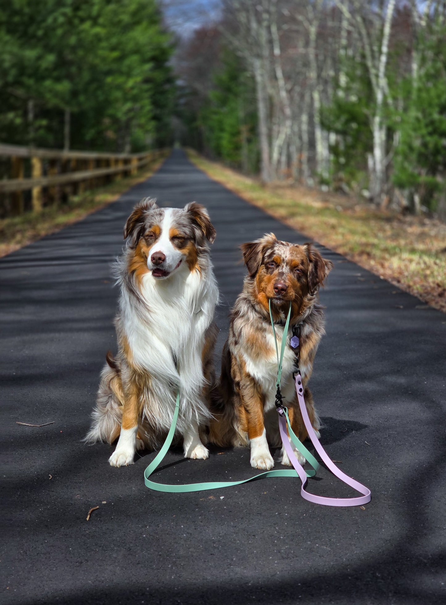 Waterproof Two Dog Leash / Two Dog Leash Splitter | Built with BioThane®