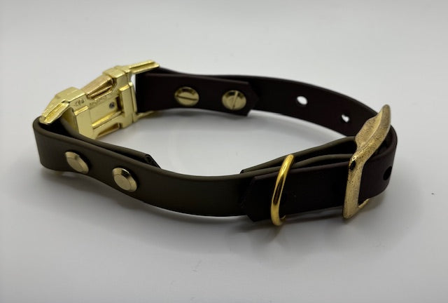 BioThane dog collar with gold hardware