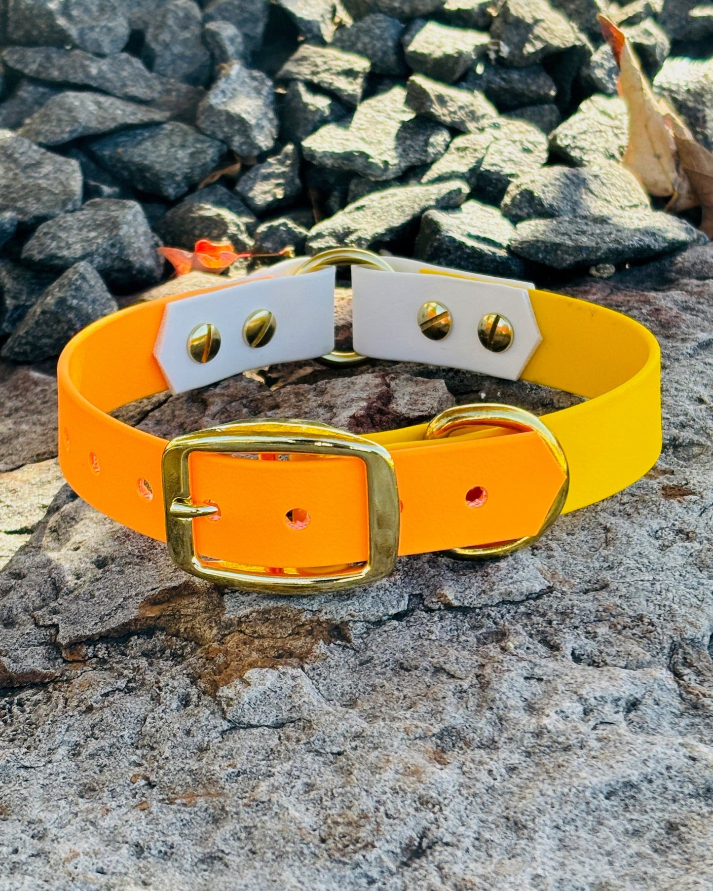 A Tangerine Orange, Sunshine Yellow and Arctic White dog collar with gold hardware resting on a large rock in front of smaller rocks.