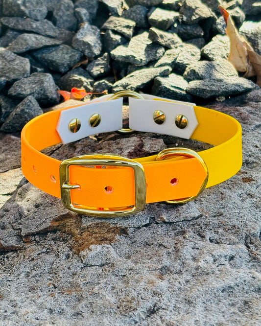 A Tangerine Orange, Sunshine Yellow and Arctic White dog collar with gold hardware resting on a large rock in front of smaller rocks.
