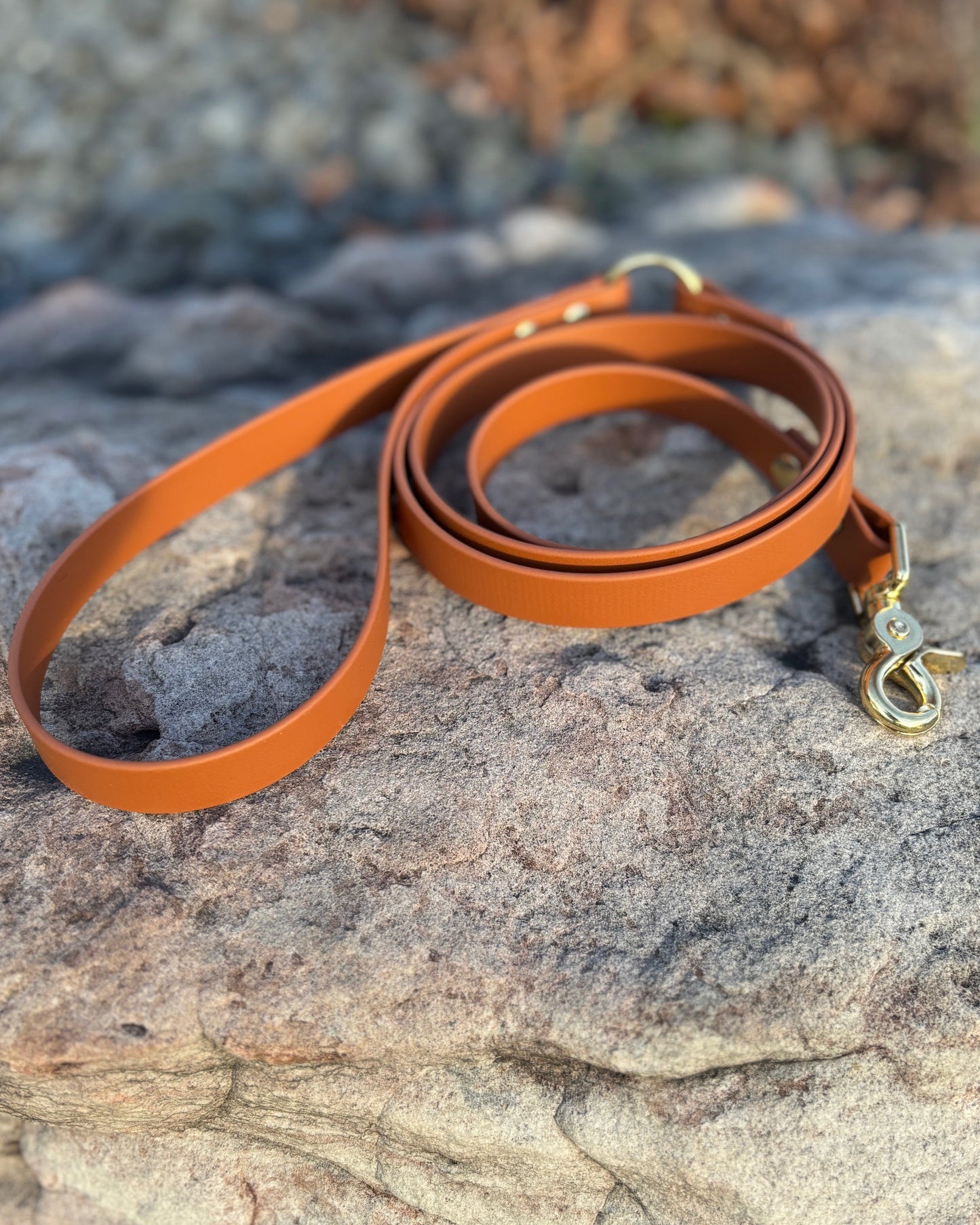 A Chocolate Brown Classic Leash with Gold Hardware Resting on a Rock