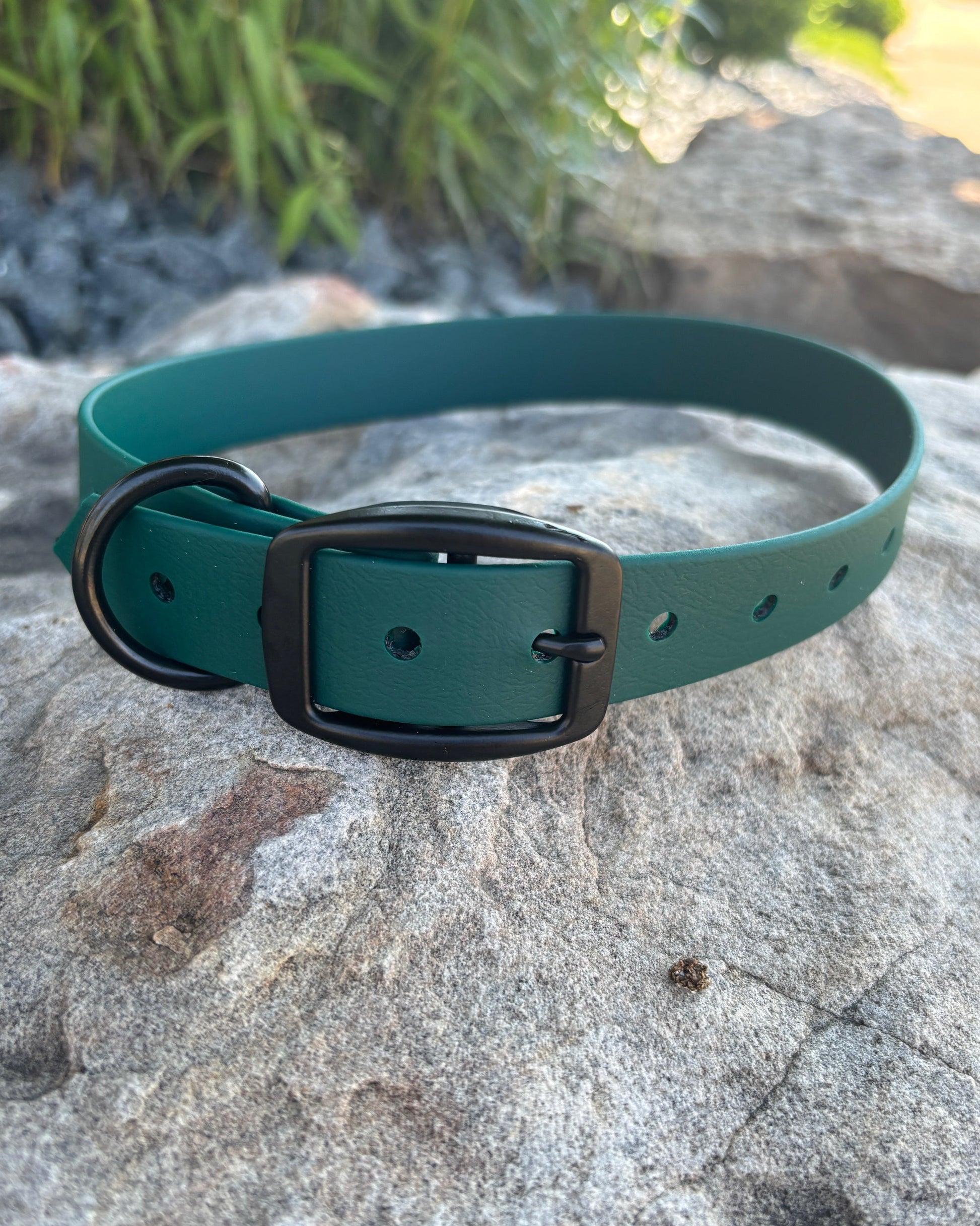 A Classic Evergreen Classic Dog Collar made from BioThane sitting on a rock