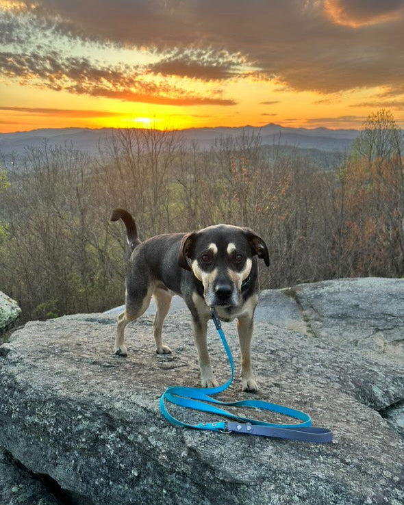 Waterproof Two-Tone Classic Dog Leash | Built with BioThane®