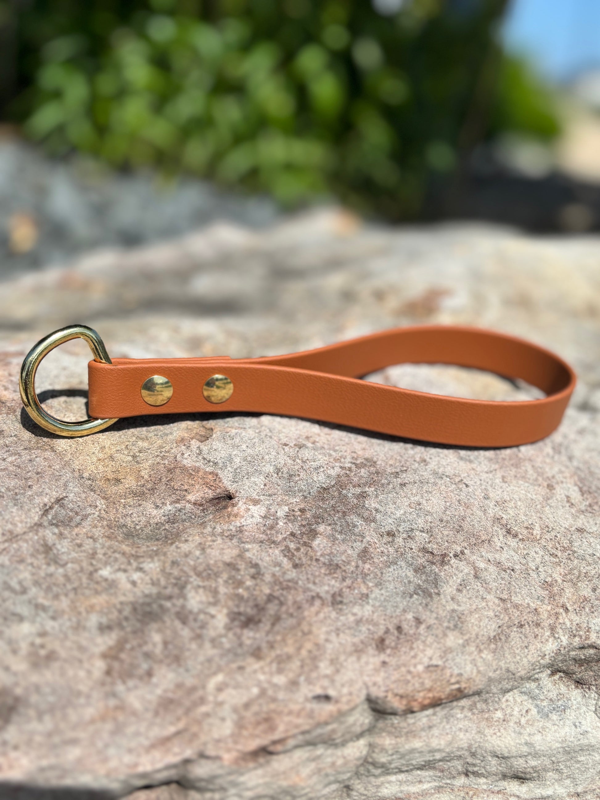 dog ring gear Evergreen Looped GearSnap