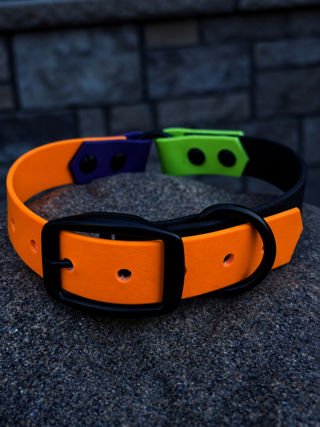 A Frank-N-Weenie Quad-Tone Collar made from  BioThane sitting on a rock