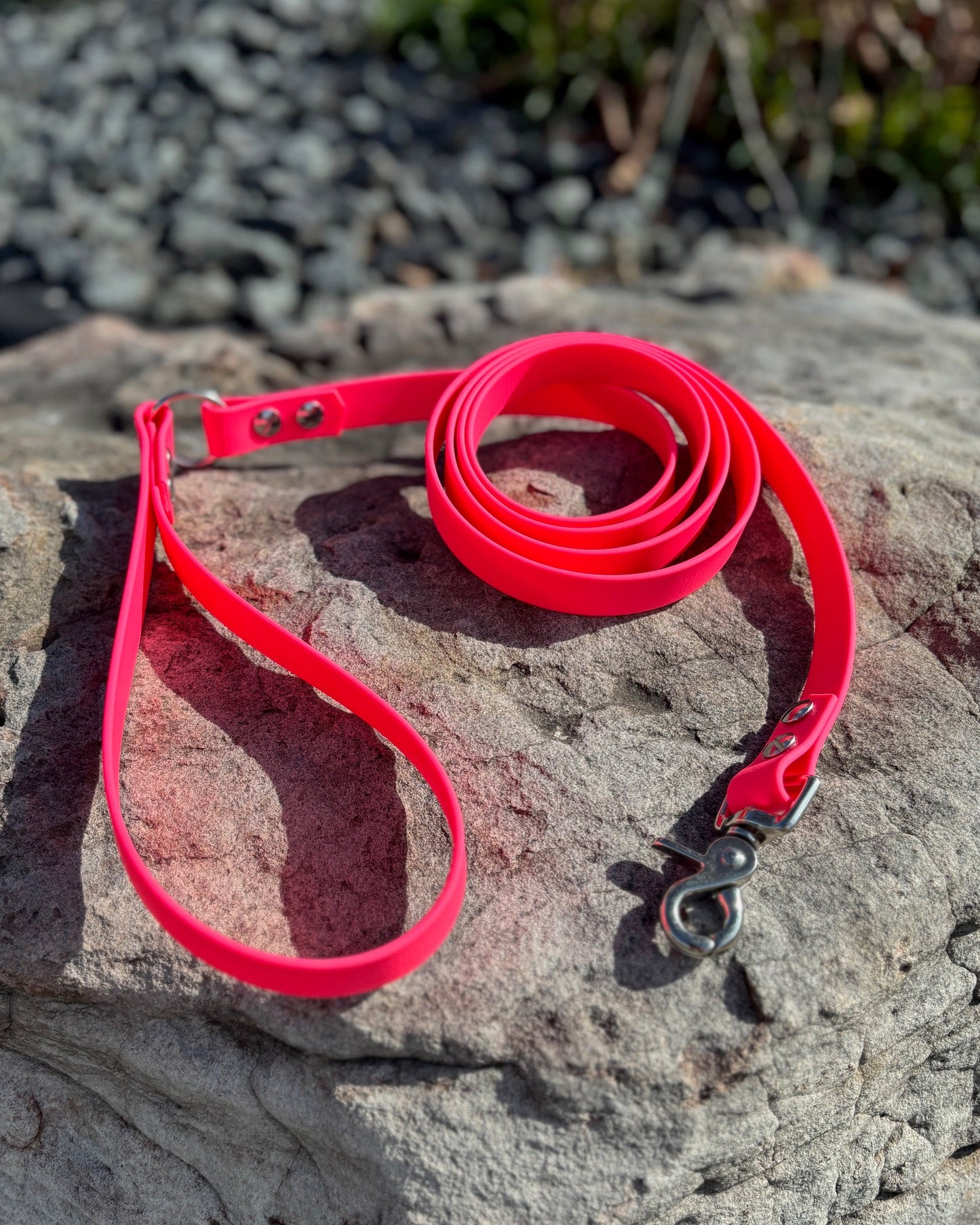 A Hot Pink Dog Leash with silver hardware sitting on a rock
