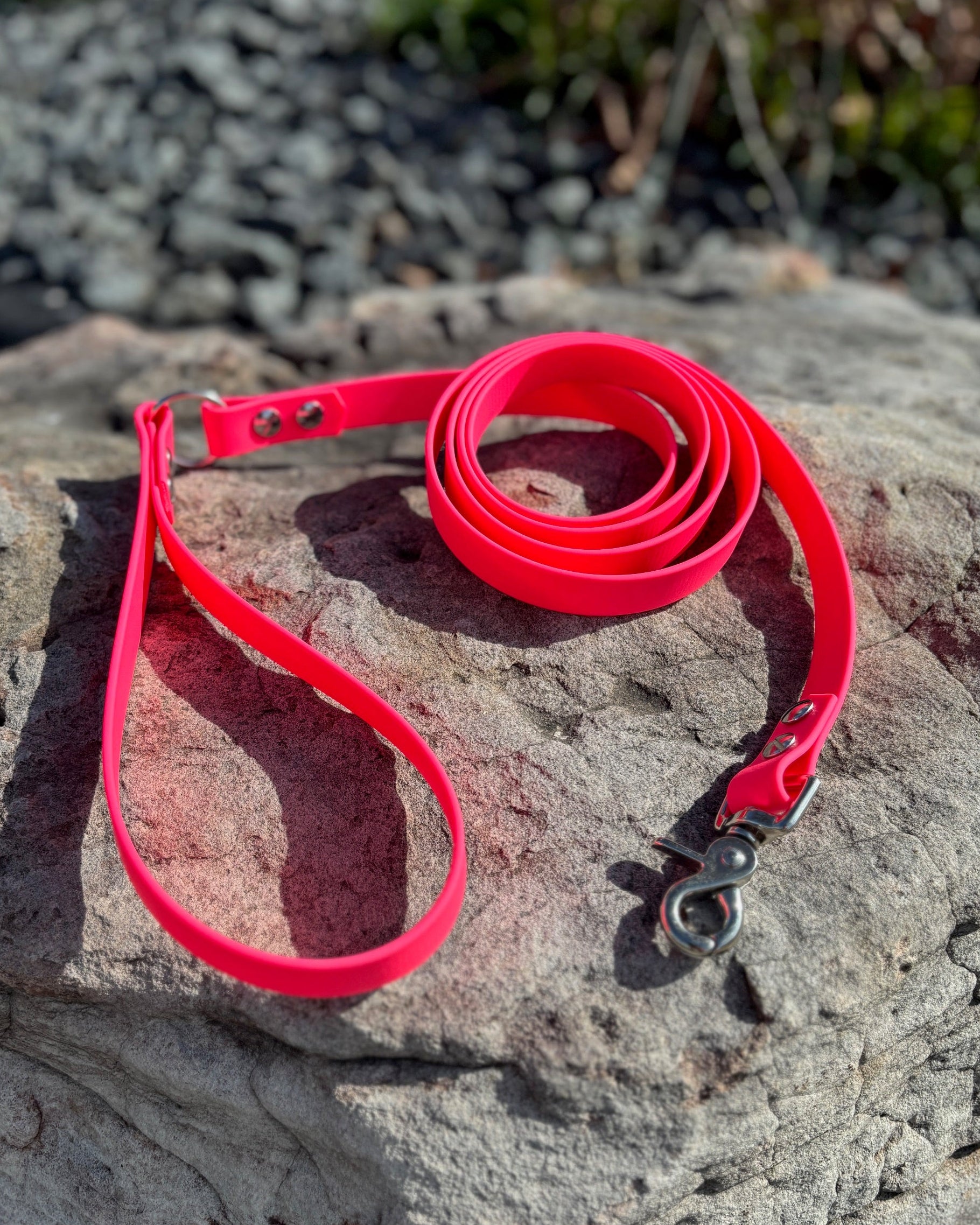 A Hot Pink Dog Leash with silver hardware sitting on a rock