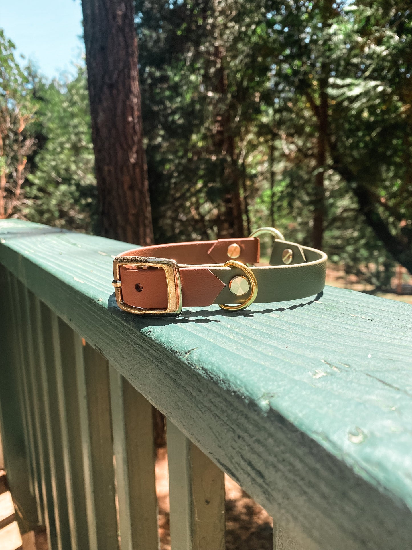 Two Tone Leather Dog Collar