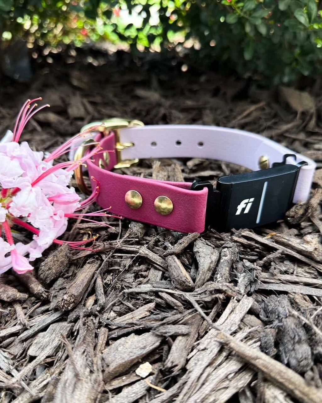 A Merlot and Spring Lilac Fi Compatible Dog Collar resting on mulch with flowers next to it