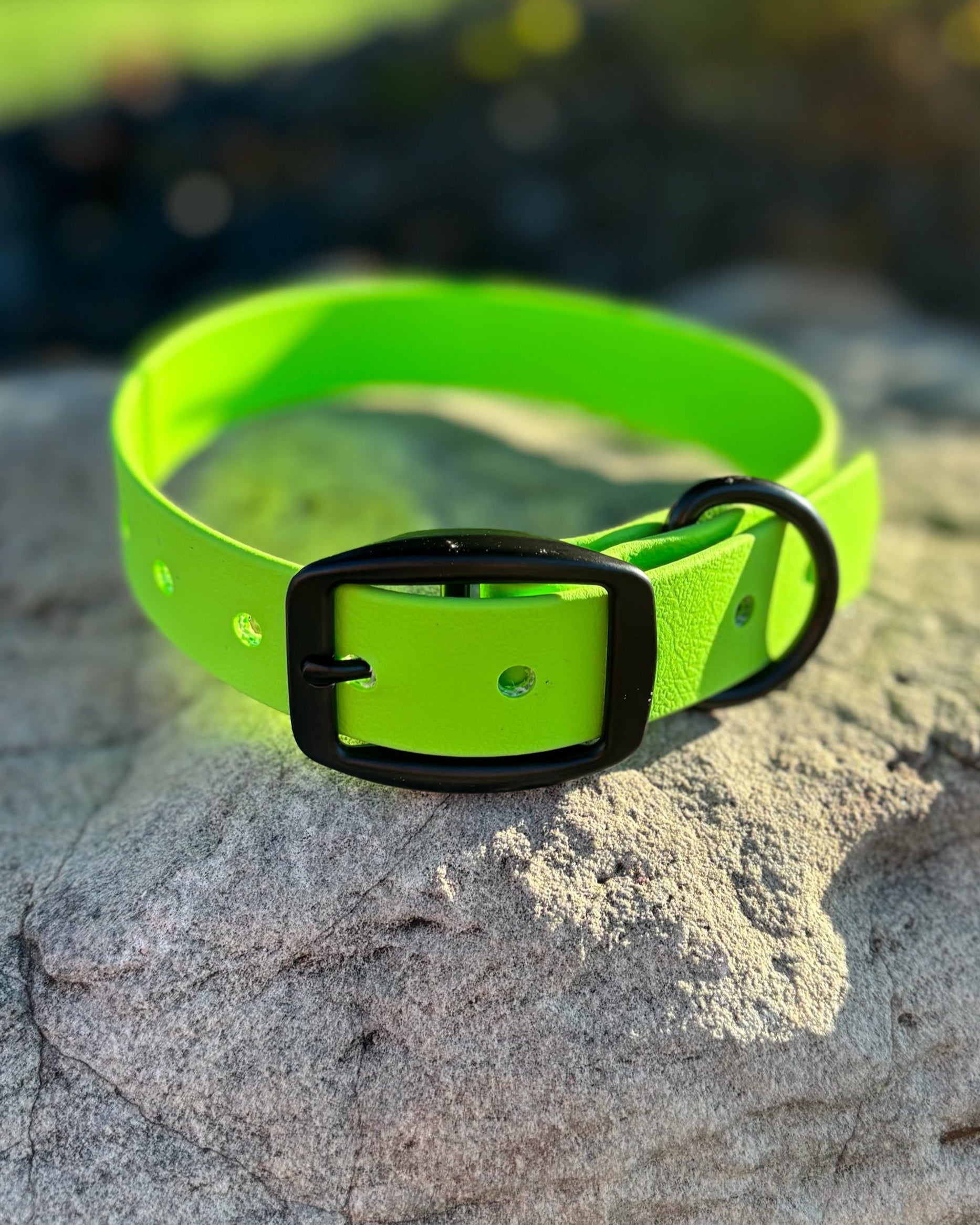 Neon Green dog collar with a black buckle on a rock