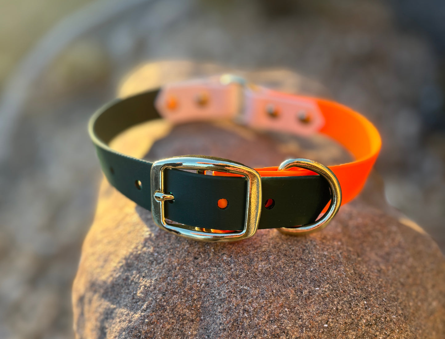 An Evergreen, Tangerine and Arctic White BioThance collar sitting on a red and black rock.