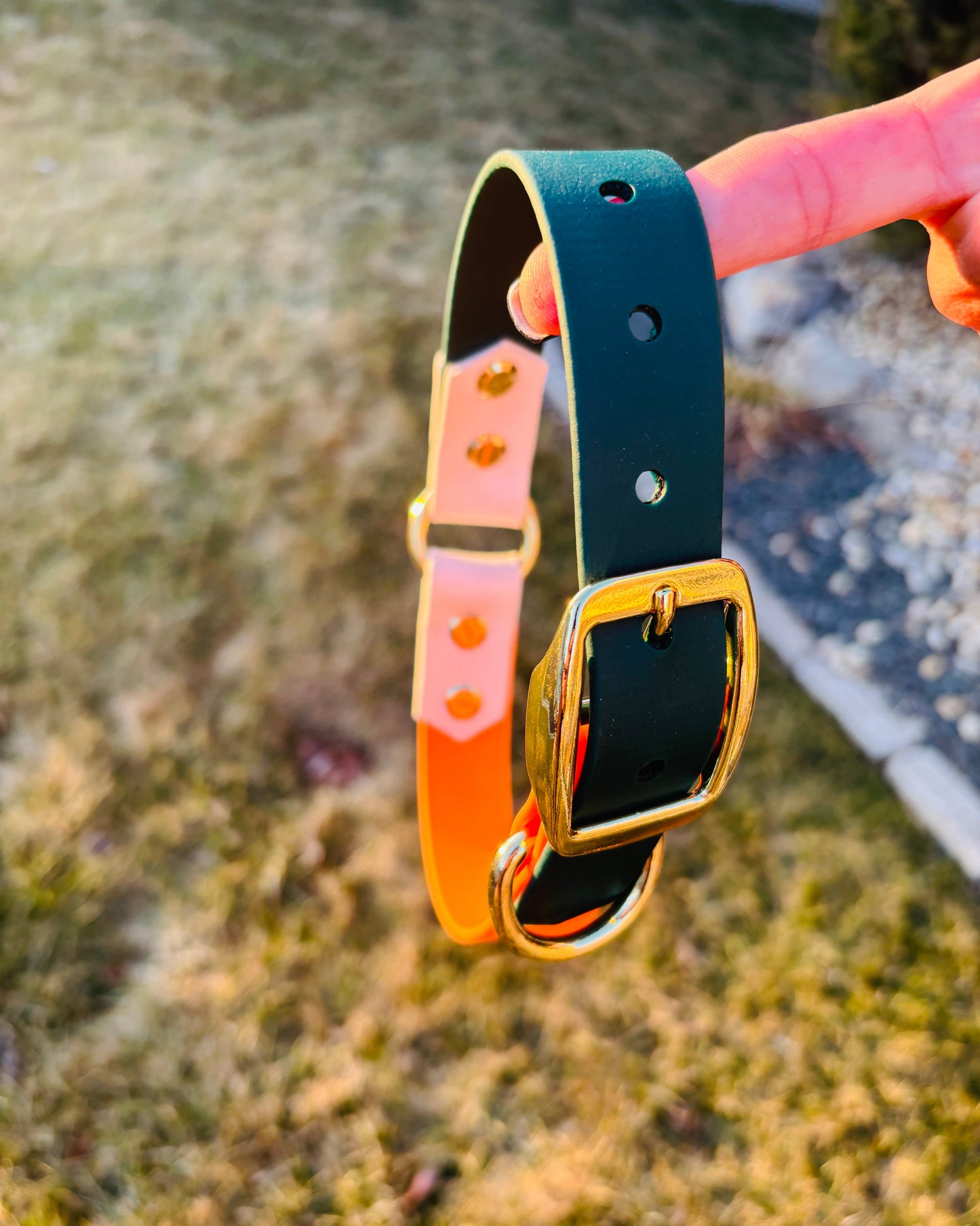 A person holding a collar made from BioThane on one finger.