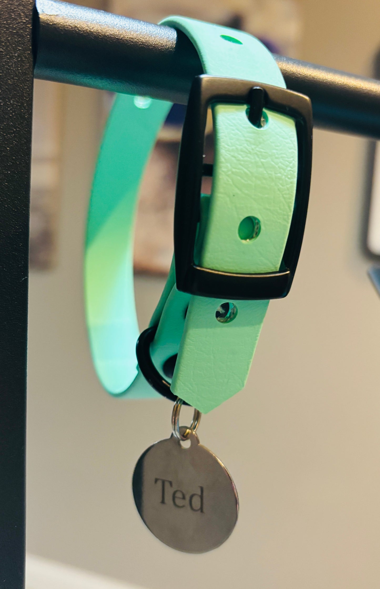 A dog tag hanging on a Seafoam dog collar that says "Ted"