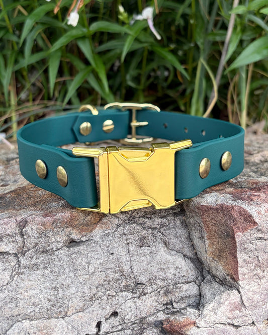 An Evergreen Quick Release Dog Collar with gold hardware sitting on a rock.