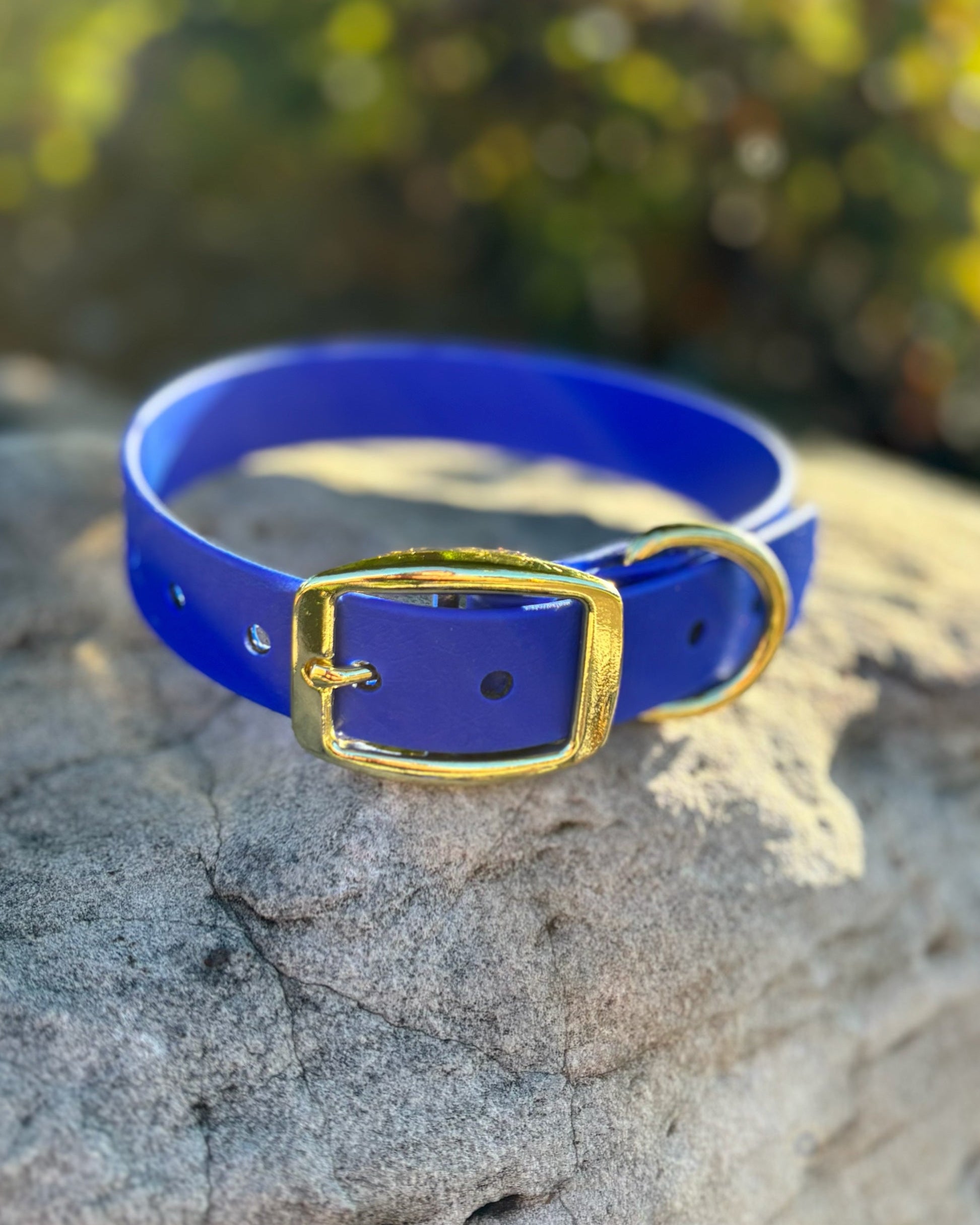A Royal Blue Classic dog Collar with gold hardware sitting on a rock