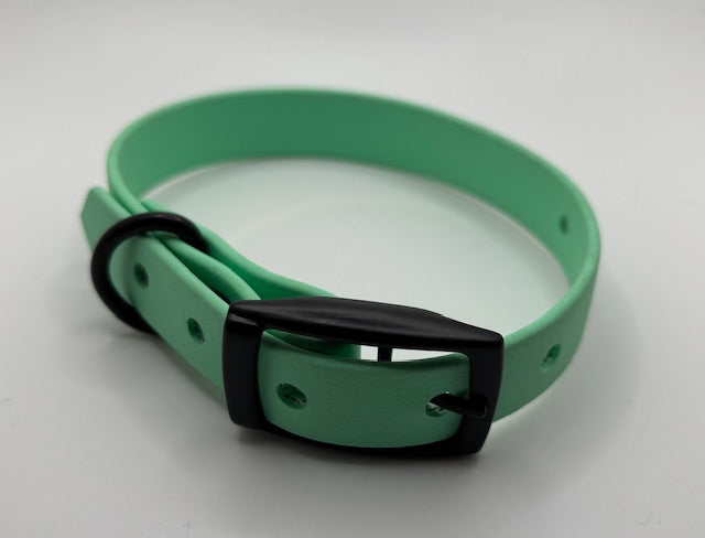 Small Sage Green BioThane Collar with Black hardware