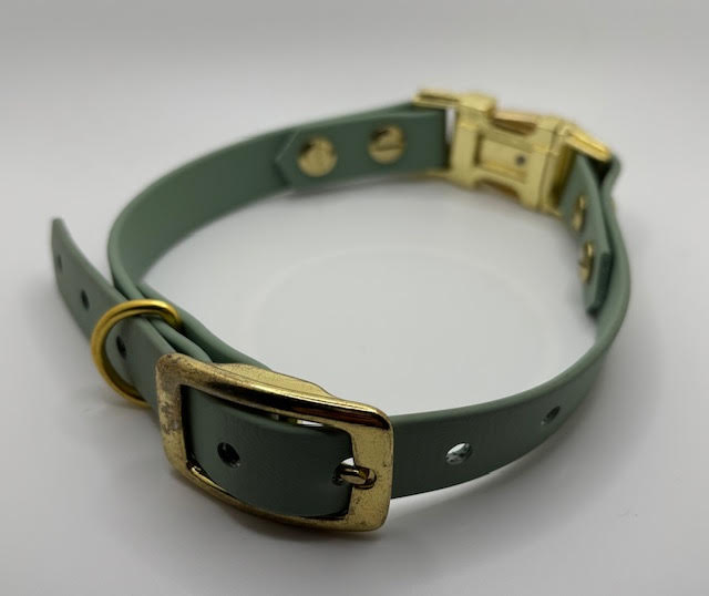 Sage green BioThane Collar with Quick Release Buckle and gold hardware