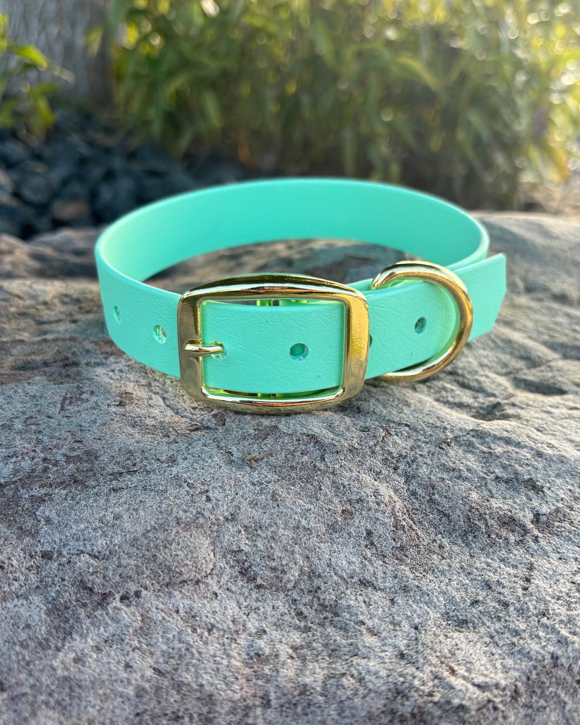 A seafoam classic collar with gold hardware sitting on a gray rock