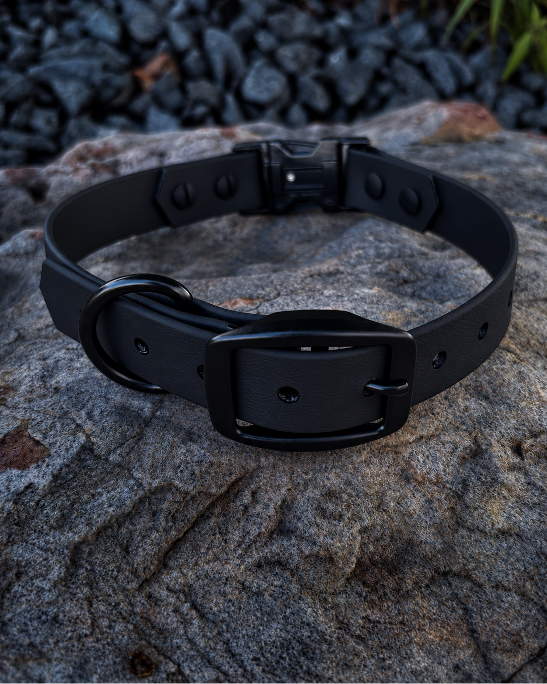 A midnight black dog collar with matte black hardware sitting on a large rock