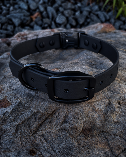 A midnight black dog collar with matte black hardware sitting on a large rock