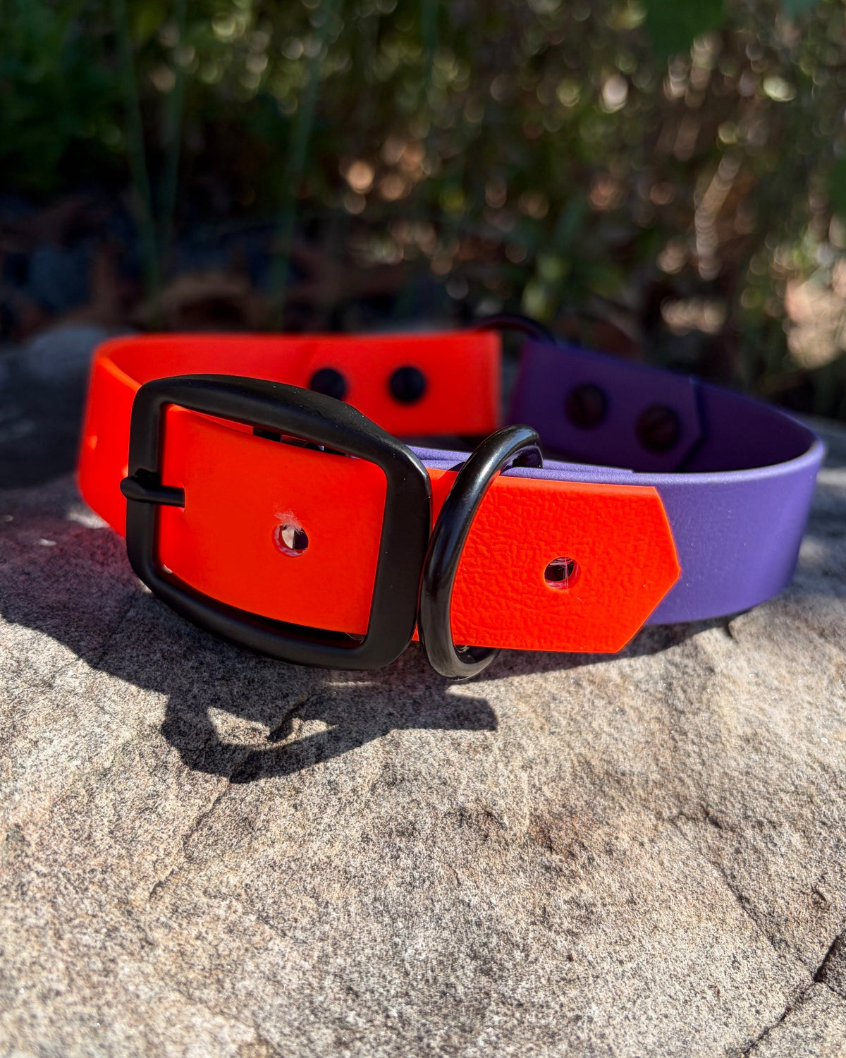 A Witching Hour Two-Tone Collar featuring Royal Purple and Blaze Orange BioThane sitting on a rock