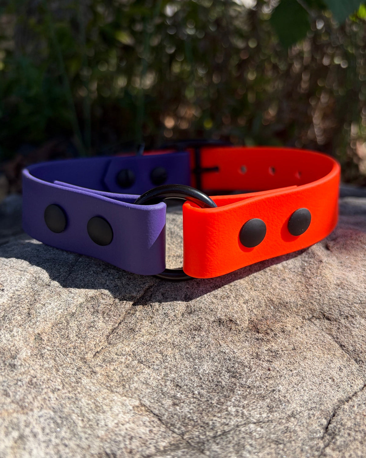 A Witching Hour Two-Tone Collar featuring Royal Purple and Blaze Orange BioThane sitting on a rock