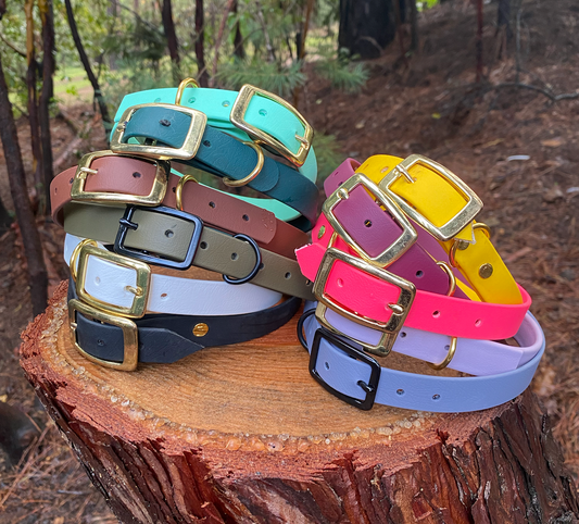 11 dog collars stacked on a stump in the woods.