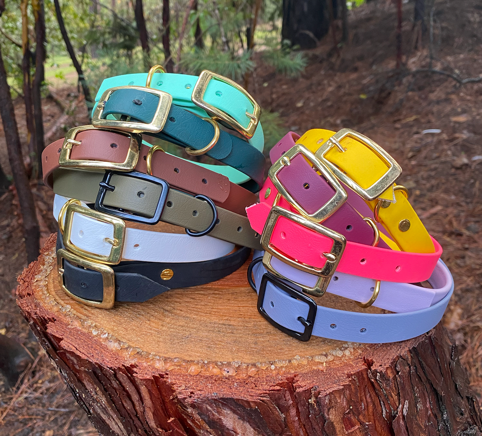 Waterproof BioThane Dog Collars & Hands-Free Leashes – Evergreen Dog Co.