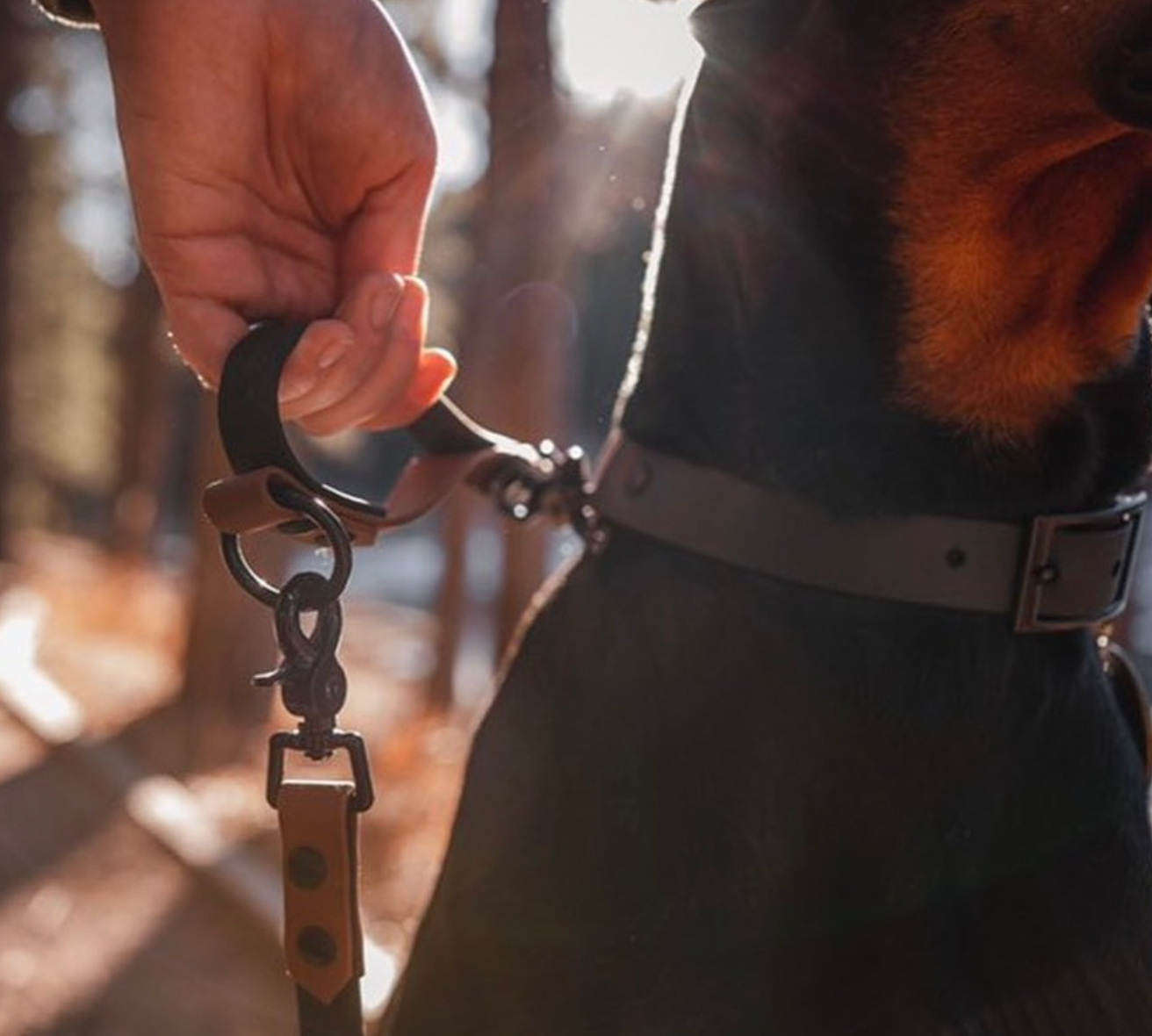 An owner grabbing their dog using a traffic handle which is essentially a mini-leash.