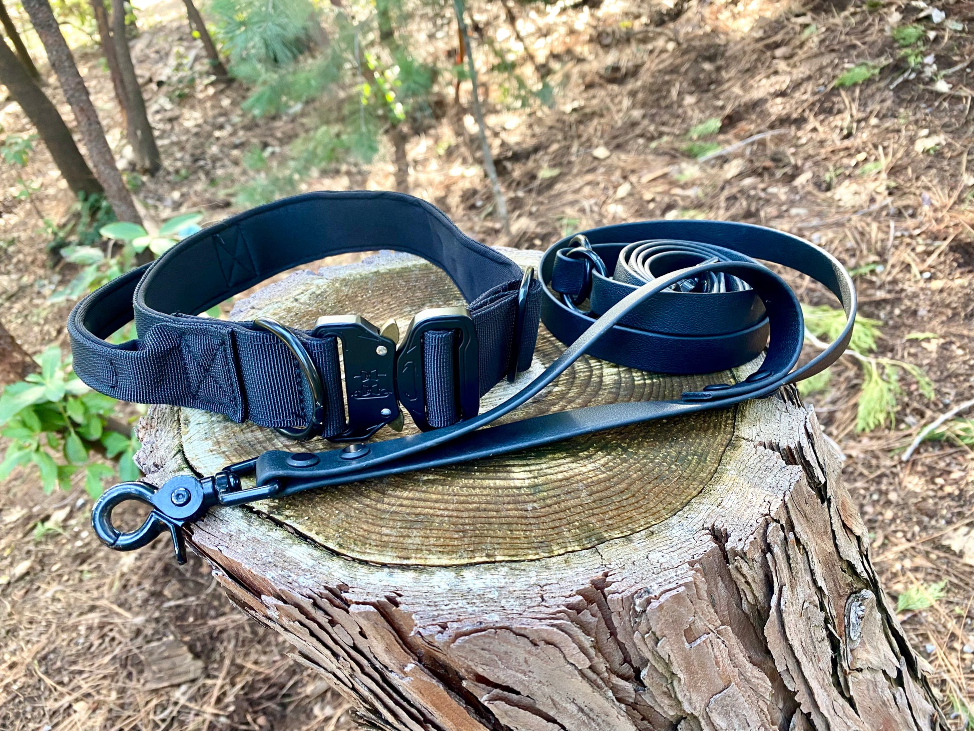 Black dog collar and leash on a tree stump in the woods.